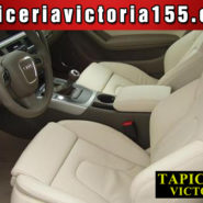 Piel beige – Tapiceria Victoria